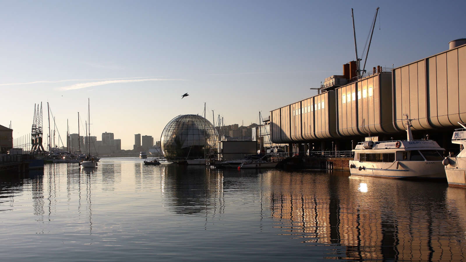 The Aquarium of Genoa