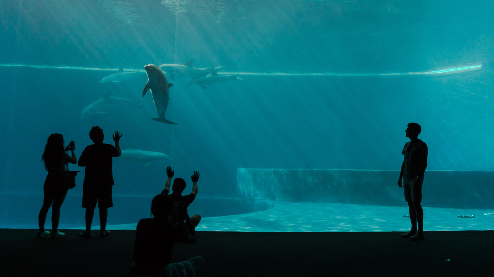 The Aquarium of Genoa