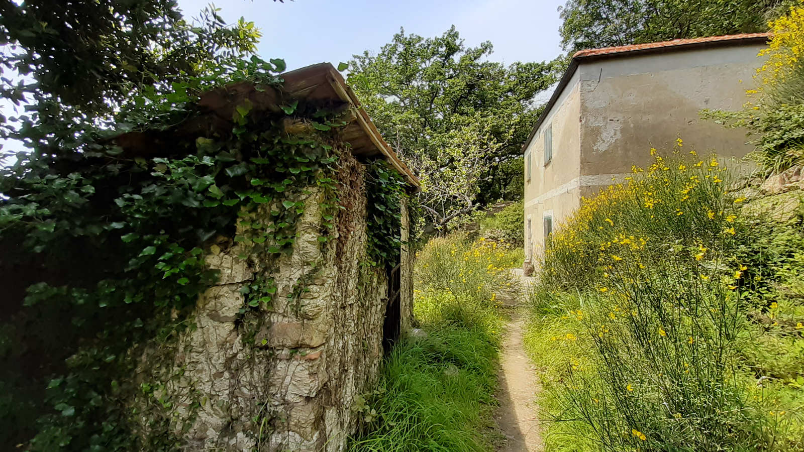 Escursioni Spotorno - Monte Mao